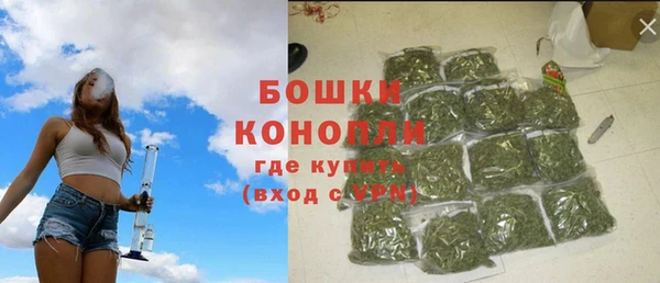 сатива Ельня