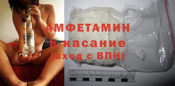 сатива Ельня
