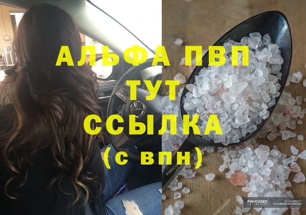 сатива Ельня