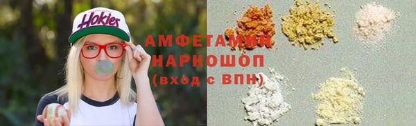 сатива Ельня