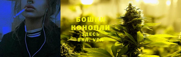 крисы Елизово