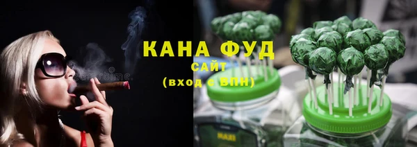 сатива Ельня