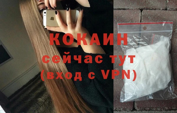 сатива Ельня