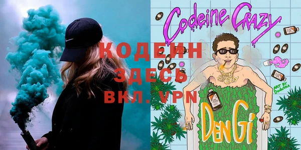 сатива Ельня