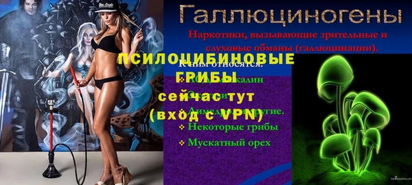 сатива Ельня