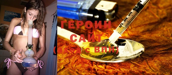 сатива Ельня