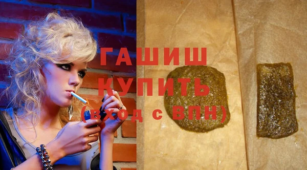 сатива Ельня