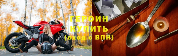 сатива Ельня