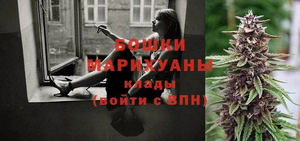 крисы Елизово