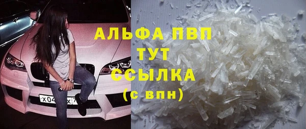 сатива Ельня