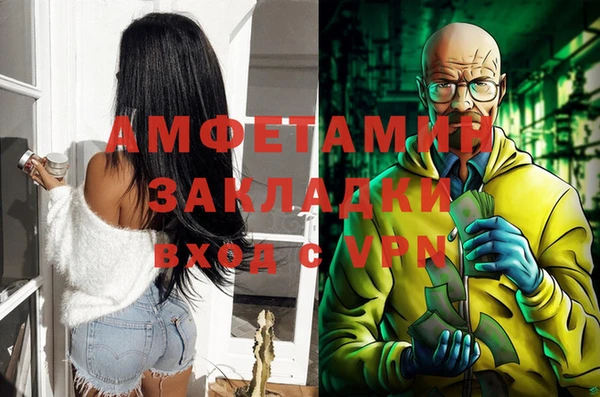 сатива Ельня