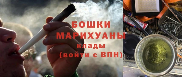 спайс Тайга