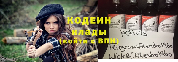 крисы Елизово