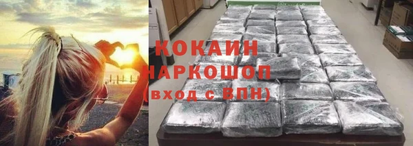 сатива Ельня