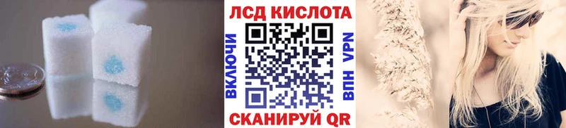 Купить  Каргополь  Лсд 25 экстази ecstasy 