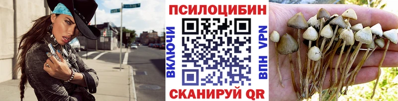 Псилоцибиновые грибы Psilocybine cubensis  Купить  Каргополь 